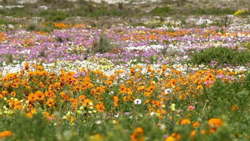 לאנגבאן Tortoise Trail Lodge מראה חיצוני תמונה