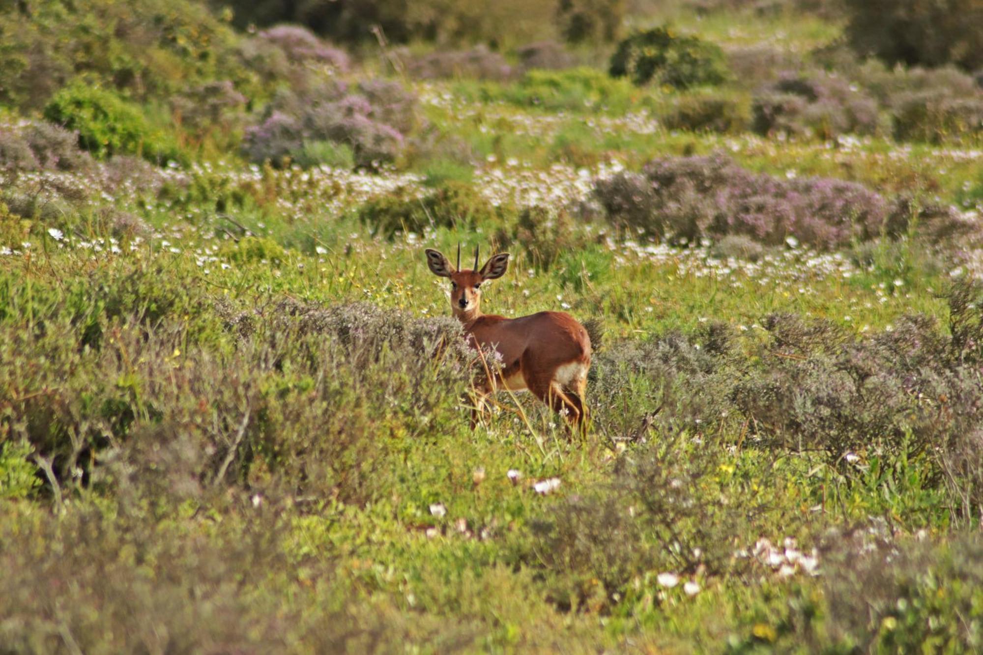 לאנגבאן Tortoise Trail Lodge מראה חיצוני תמונה